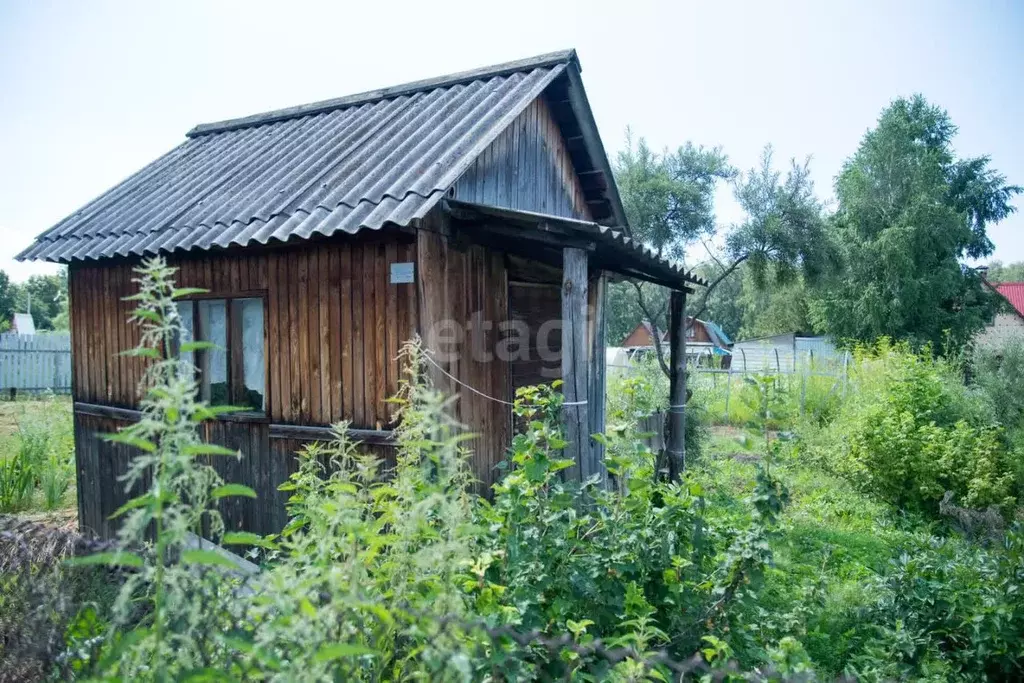Участок в Новосибирская область, Бердск Ветеран садовое товарищество, ... - Фото 2