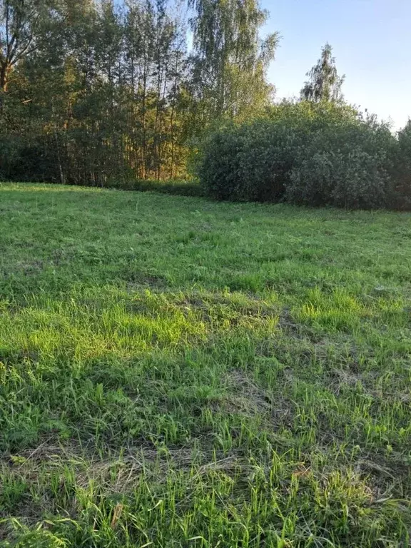Участок в Московская область, Орехово-Зуевский городской округ, д. ... - Фото 0