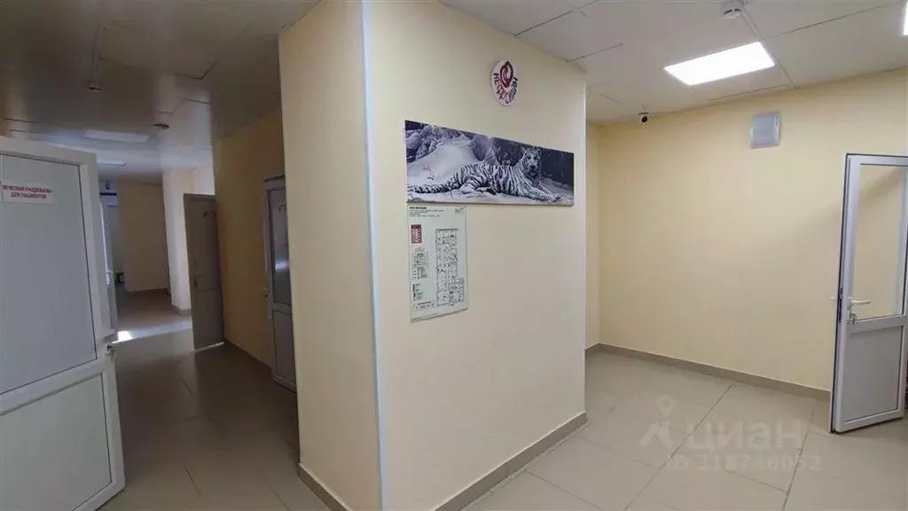 Офис в Томская область, Северск ул. Свердлова, 7 (476 м) - Фото 1