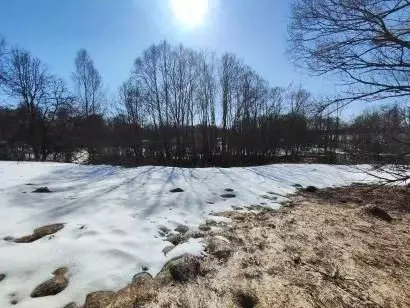 Участок в Московская область, Лотошино муниципальный округ, д. ... - Фото 1