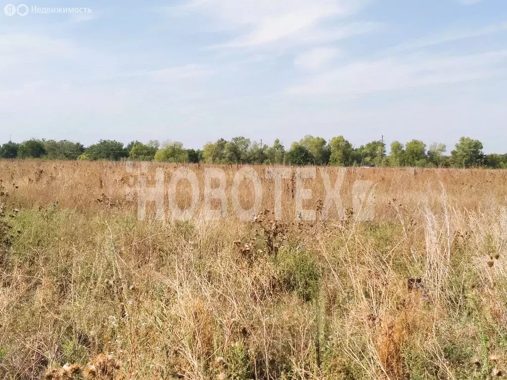 Участок в Северский район, Ильское городское поселение, посёлок ... - Фото 1