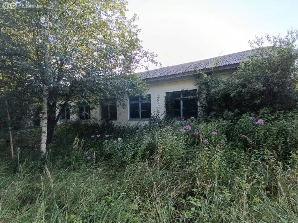 Помещение свободного назначения (994.4 м) - Фото 2