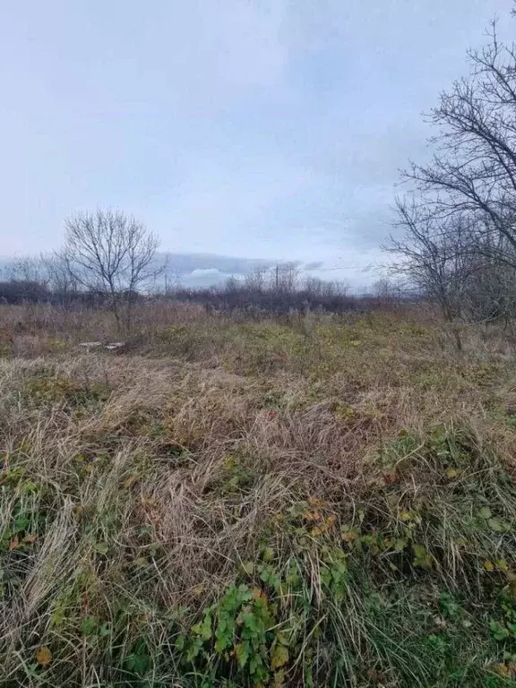 Участок в Краснодарский край, Новороссийск городской округ, Раевская ... - Фото 1