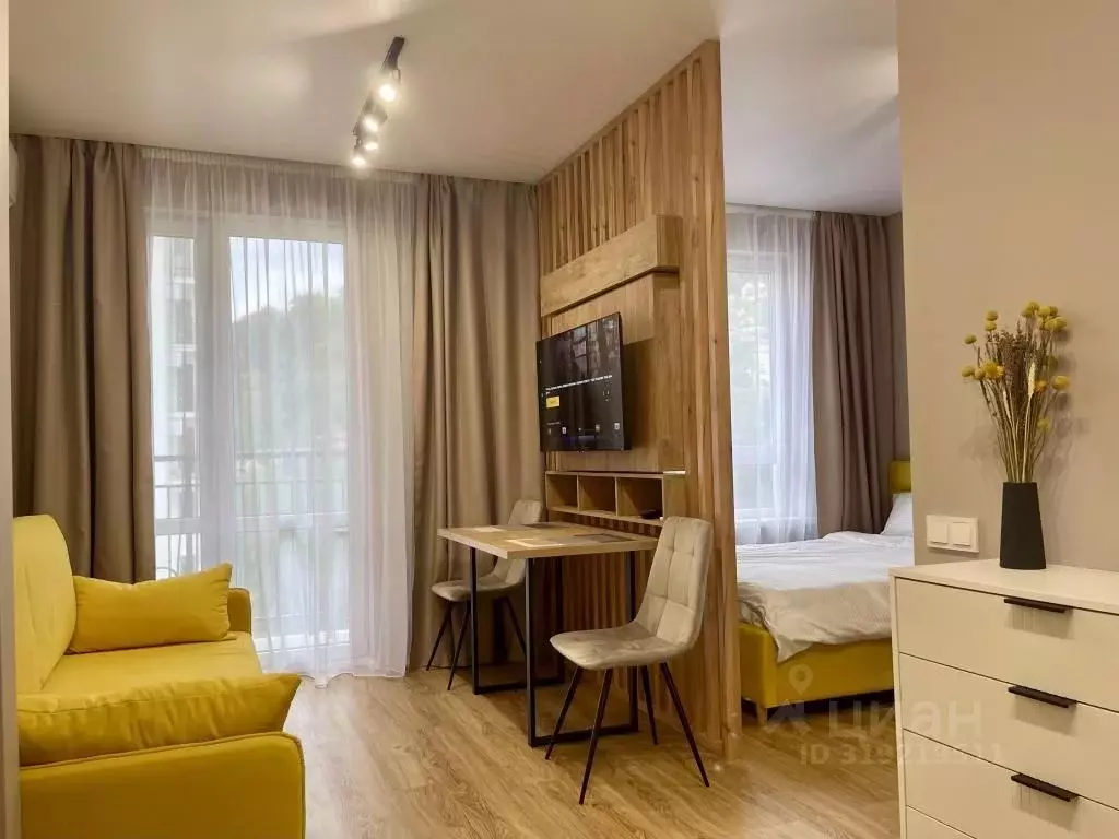 1-к кв. Краснодарский край, Сочи ул. Искры, 88к2 (30.0 м) - Фото 0