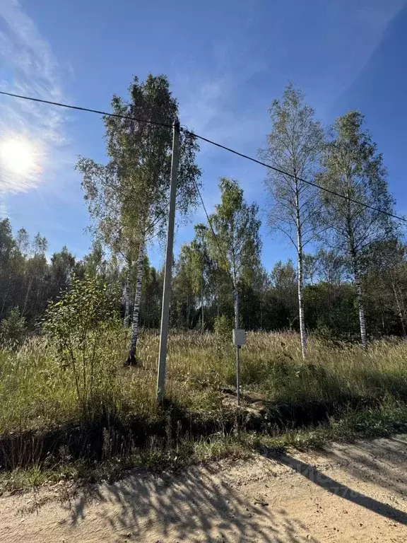 Участок в Московская область, Шаховская городской округ, Шаховская рп ... - Фото 1