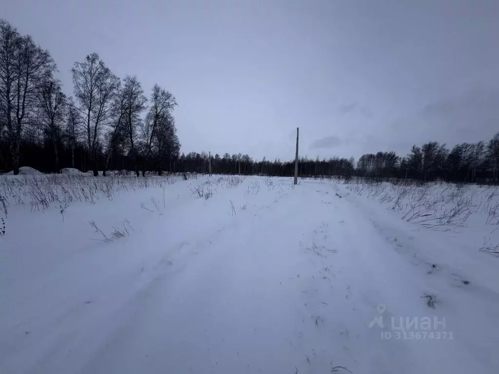 Участок в Новосибирская область, Новосибирский район, Толмачевский ... - Фото 0