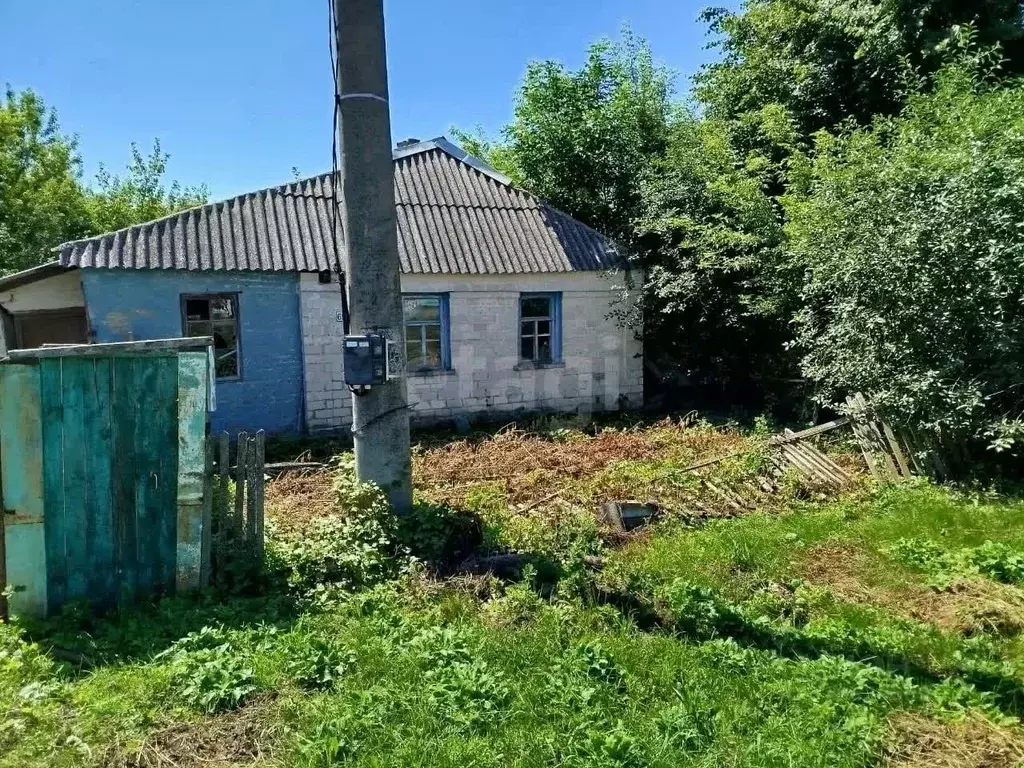 Дом в Белгородская область, Ивнянский район, с. Новенькое, Центр кв-л  ... - Фото 0