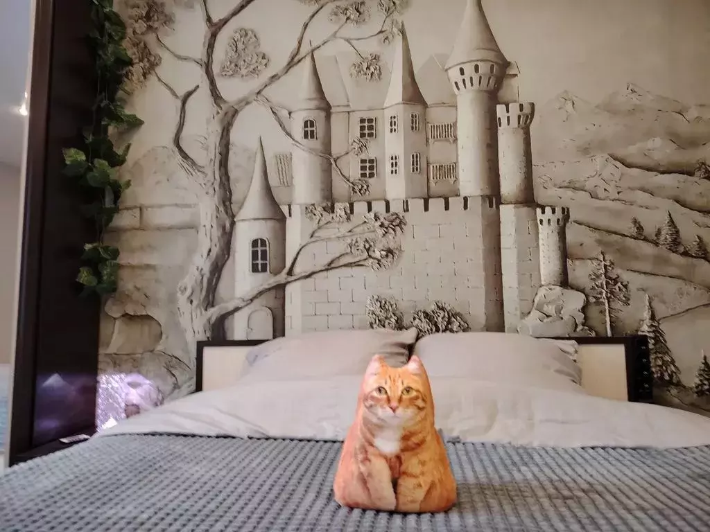 Студия Ленинградская область, Выборг ул. Сторожевой Башни, 9 (23.0 м) - Фото 2