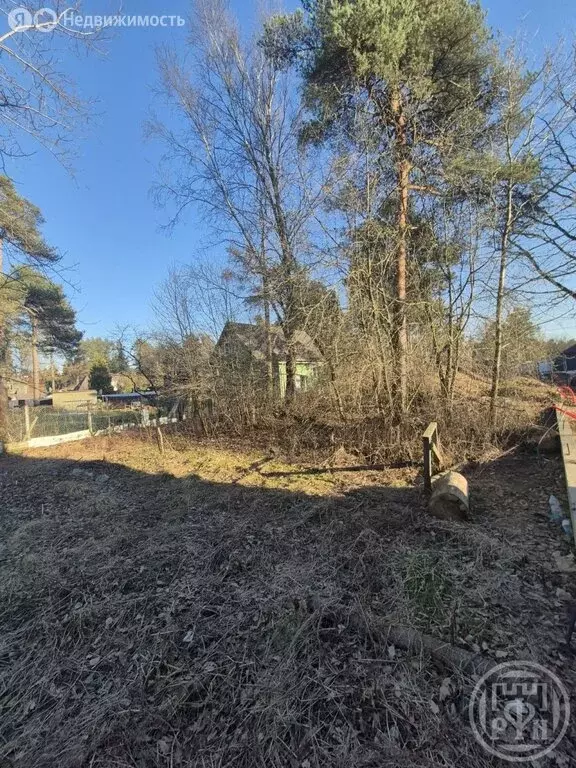 Участок в Всеволожск, проспект Герцена, 37 (9.85 м) - Фото 2