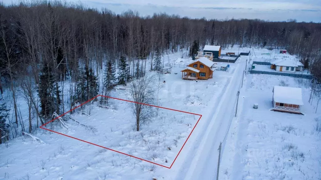 Участок в Ленинградская область, Всеволожский район, Рахьинское ... - Фото 0