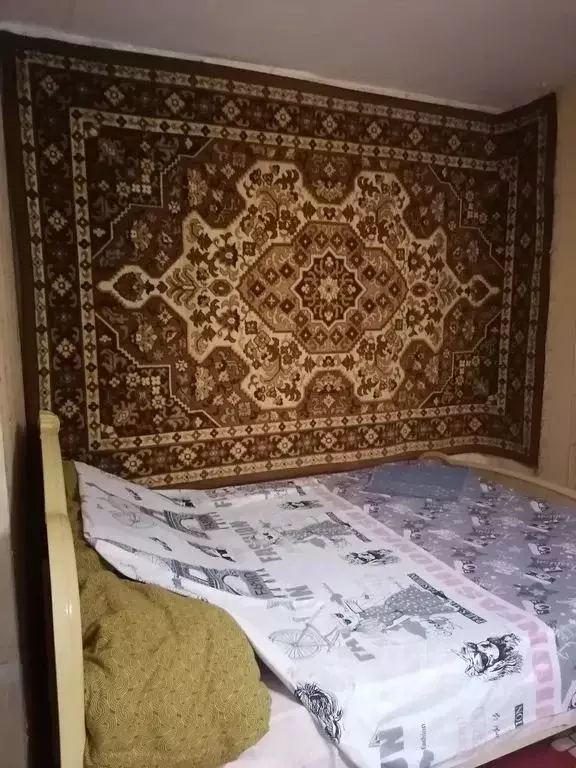 1-к кв. Московская область, Кашира Центральная ул., 5 (29.0 м) - Фото 2