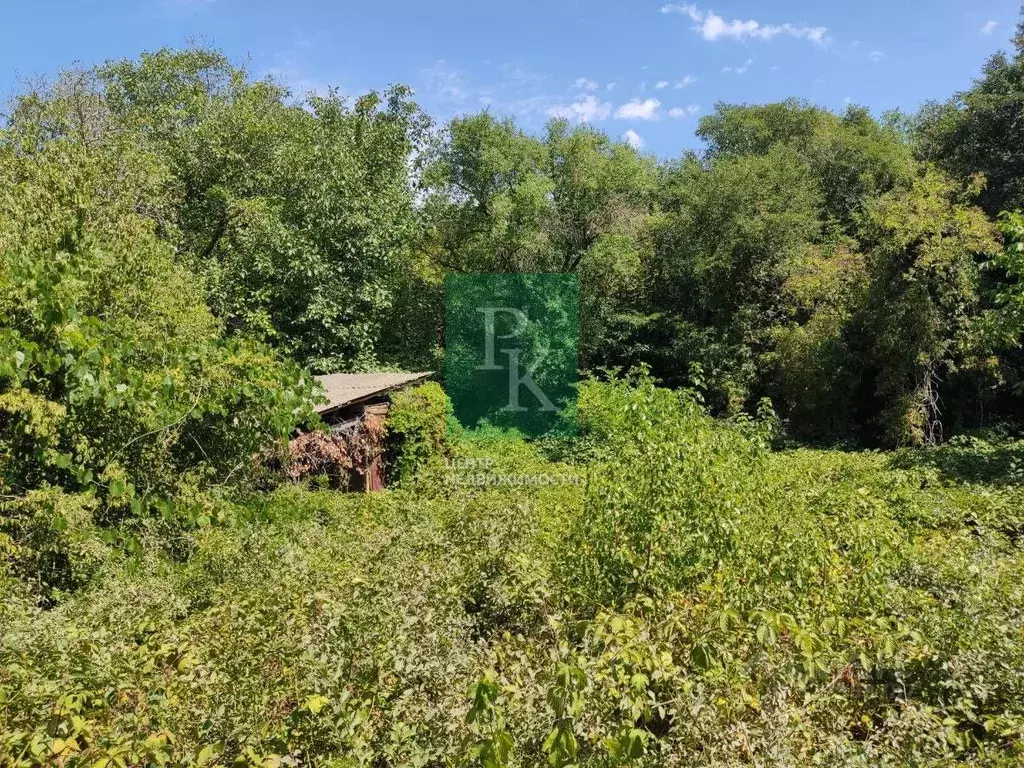 Участок в Севастополь Балаклавский муниципальный округ, Эврика садовое ... - Фото 2