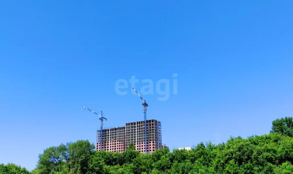 2-к кв. Новосибирская область, Новосибирск ул. Королева, 2 (43.0 м) - Фото 0