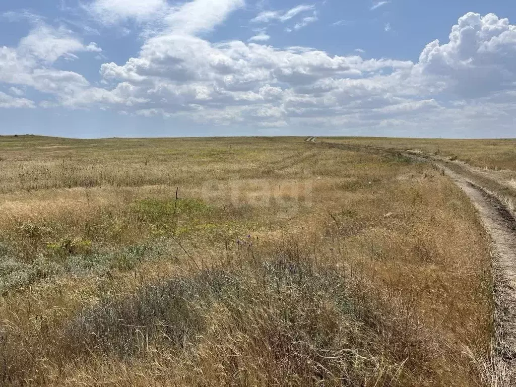 Участок в Крым, Ленинский район, с. Калиновка ул. Абденановой (6.0 ... - Фото 1