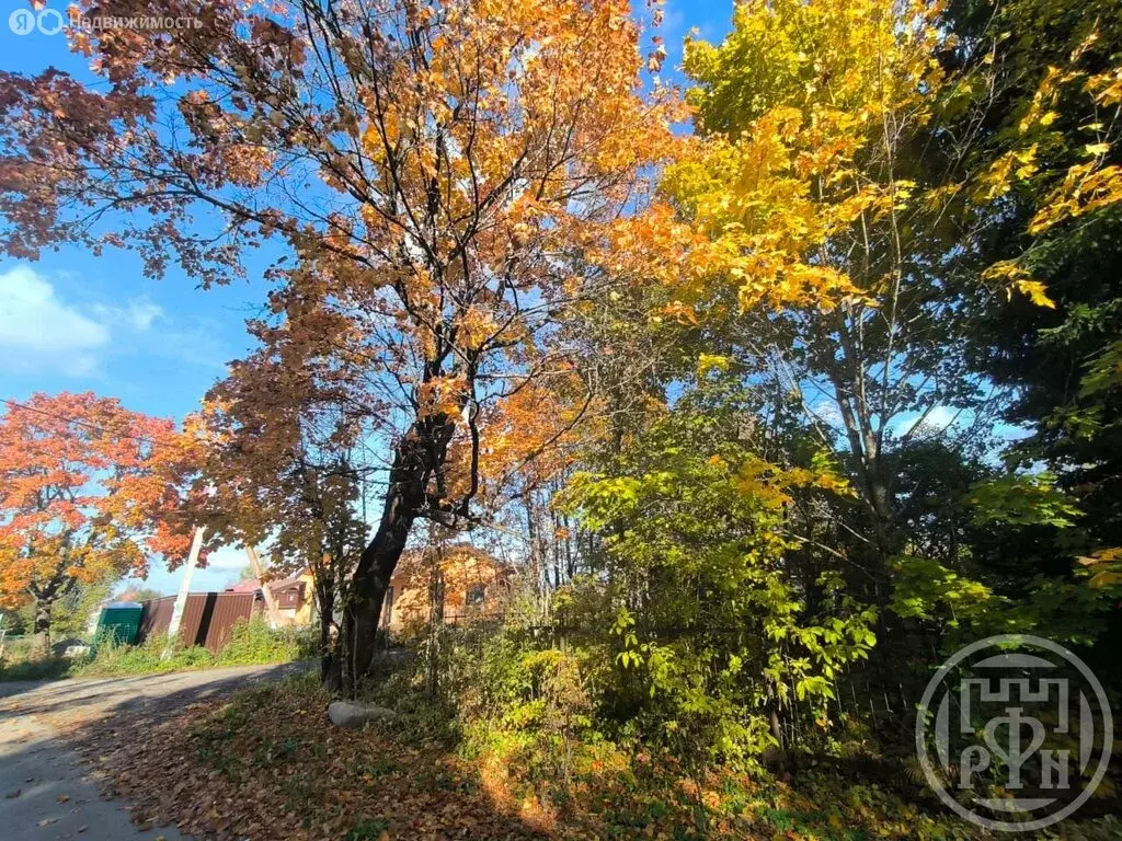 Участок в деревня Куйвози, улица Александрова (14 м) - Фото 2