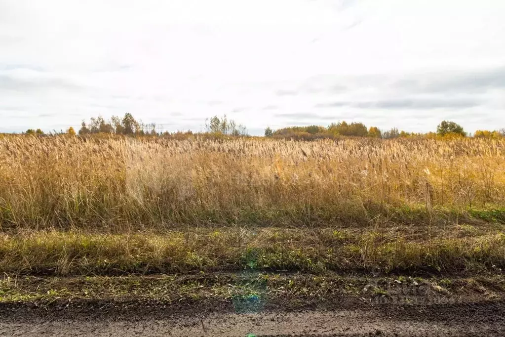 Участок в Тюменская область, Тюмень  (7.05 сот.) - Фото 1