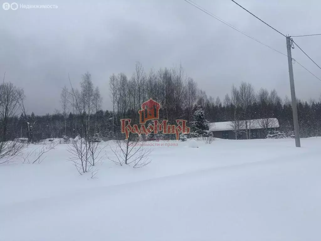 Участок в Московская область, городской округ Пушкинский, деревня ... - Фото 1