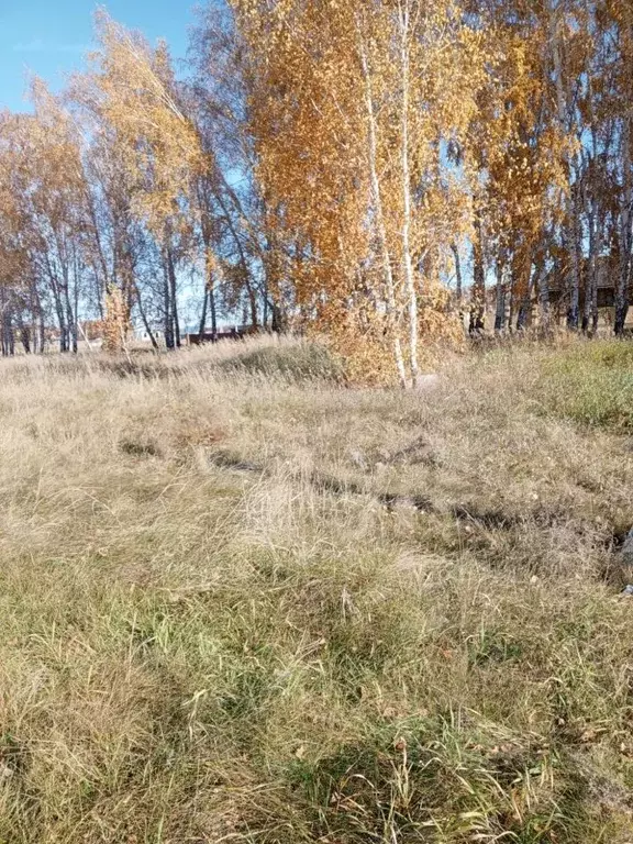 Участок в Омская область, Омский район, с. Усть-Заостровка  (5.0 сот.) - Фото 1