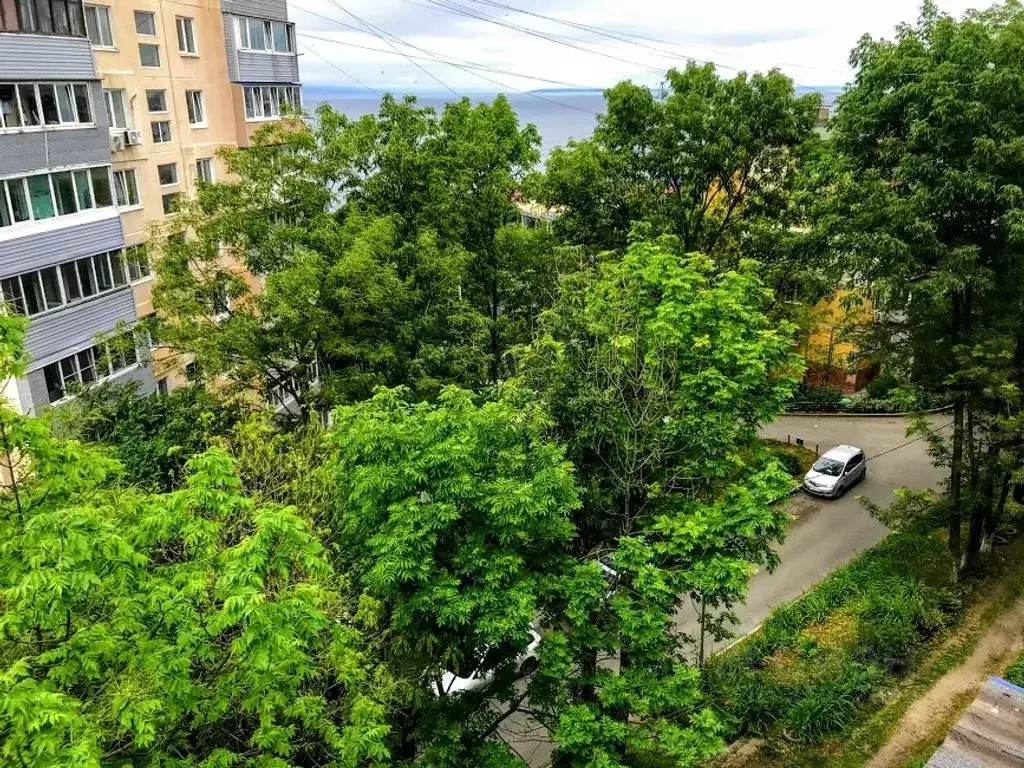 2-к кв. Приморский край, Владивосток Амурская ул., 8 (42.0 м) - Фото 1