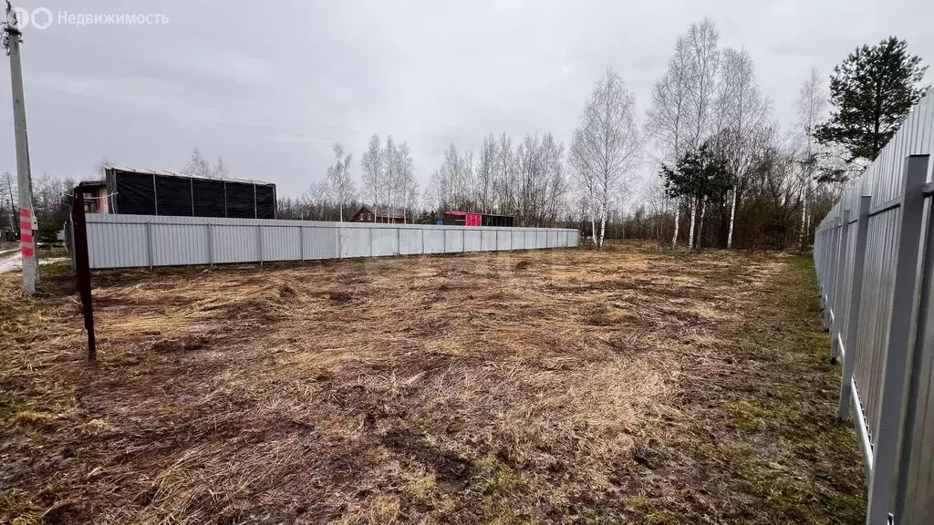 Участок в деревня Никольское, Сургутская улица (7.5 м) - Фото 2