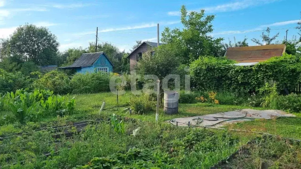 Участок в Брянская область, Брянск Родина садоводческое объединение,  ... - Фото 1