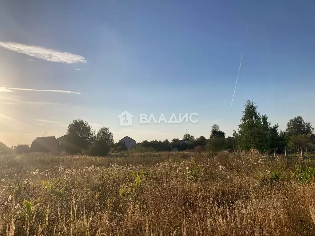 Участок в Московская область, Воскресенск городской округ, д. Золотово ... - Фото 0