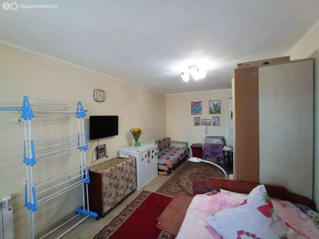 1-комнатная квартира: село Чигири, Центральная улица, 32 (32.5 м) - Фото 1