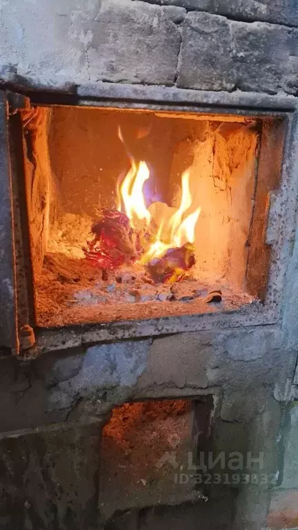 Дом в Ленинградская область, Выборгский район, Рощинское городское ... - Фото 1