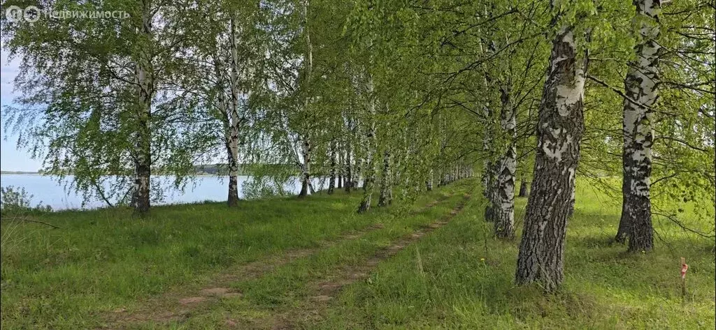 Участок в Ярославская область, сельское поселение Некрасовское, ... - Фото 0