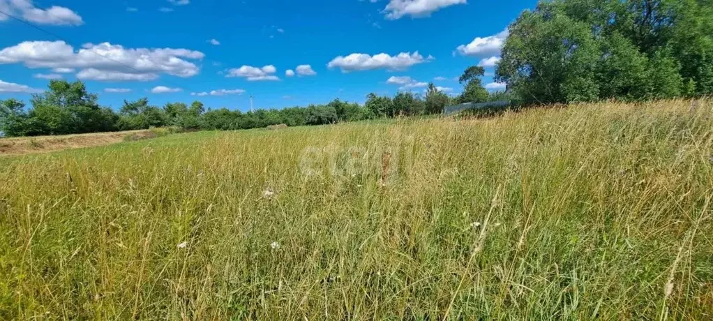 Участок в Марий Эл, Медведевский район, Ежовское с/пос, д. Ятманово ... - Фото 1