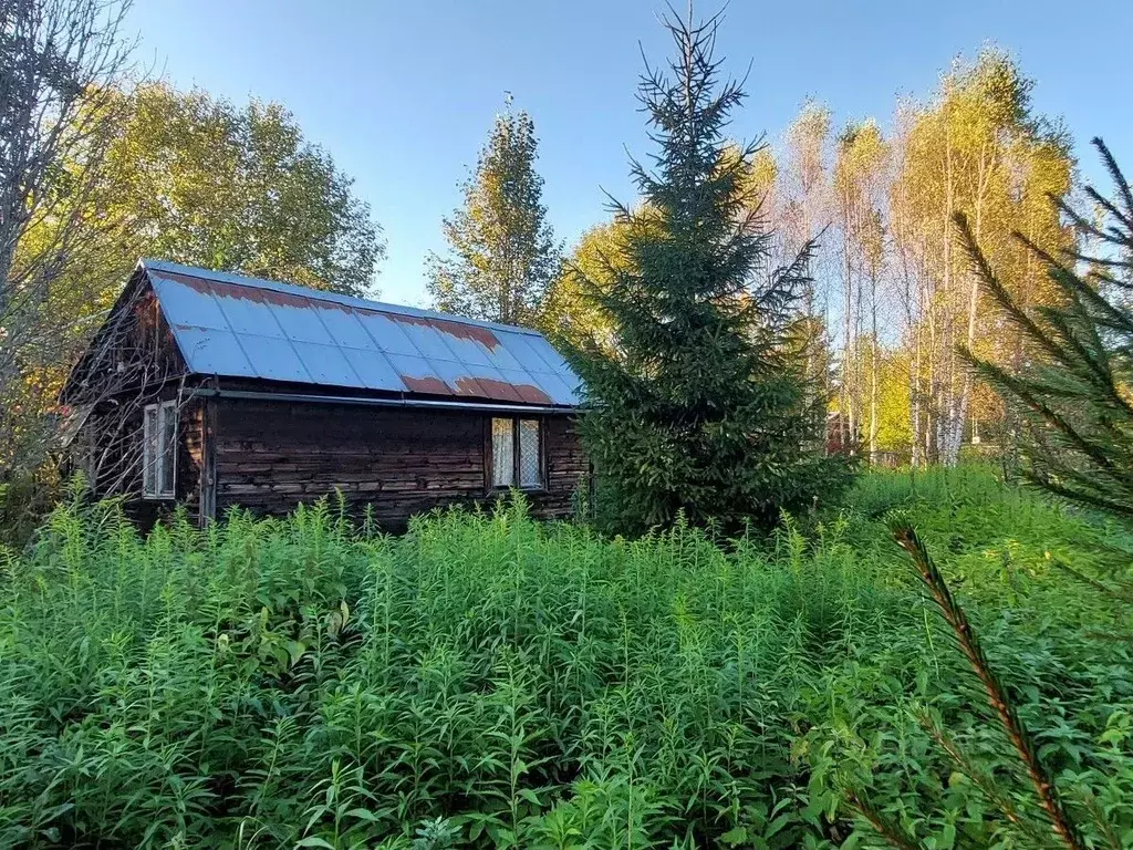 Дом в Московская область, Можайский муниципальный округ, д. ... - Фото 2