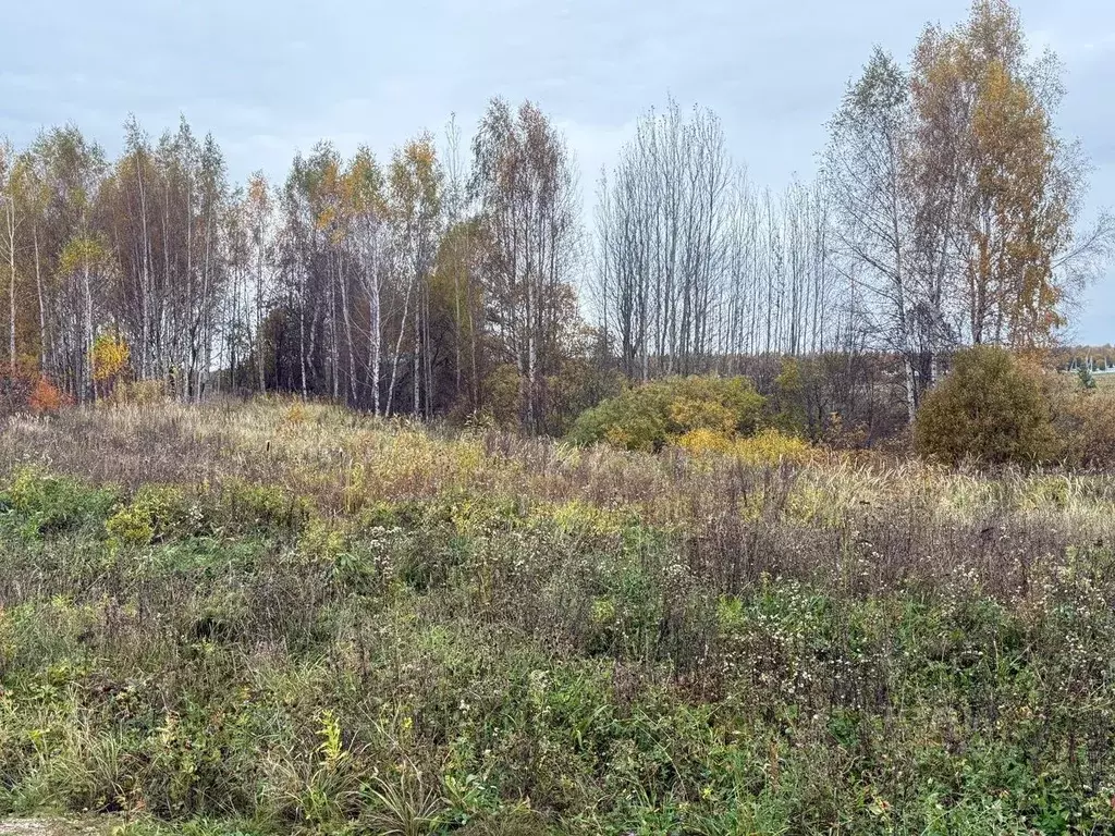 Участок в Ярославская область, Переславль-Залесский муниципальный ... - Фото 2