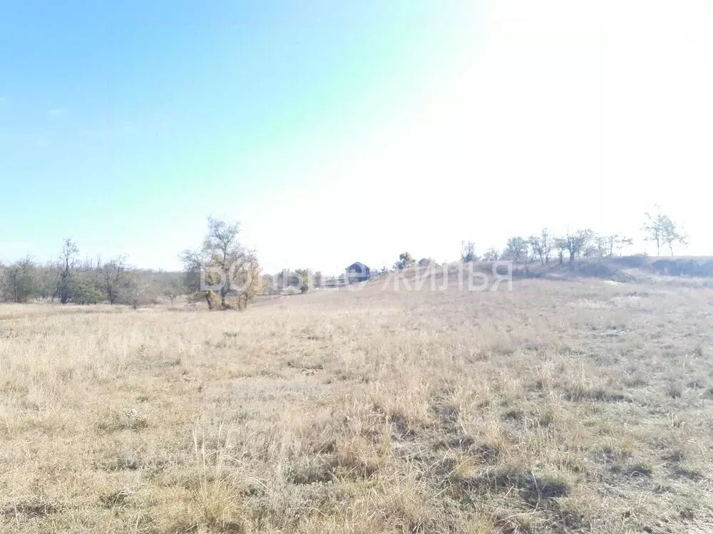 Участок в Волгоградская область, Городищенский район, Царицынское ... - Фото 1