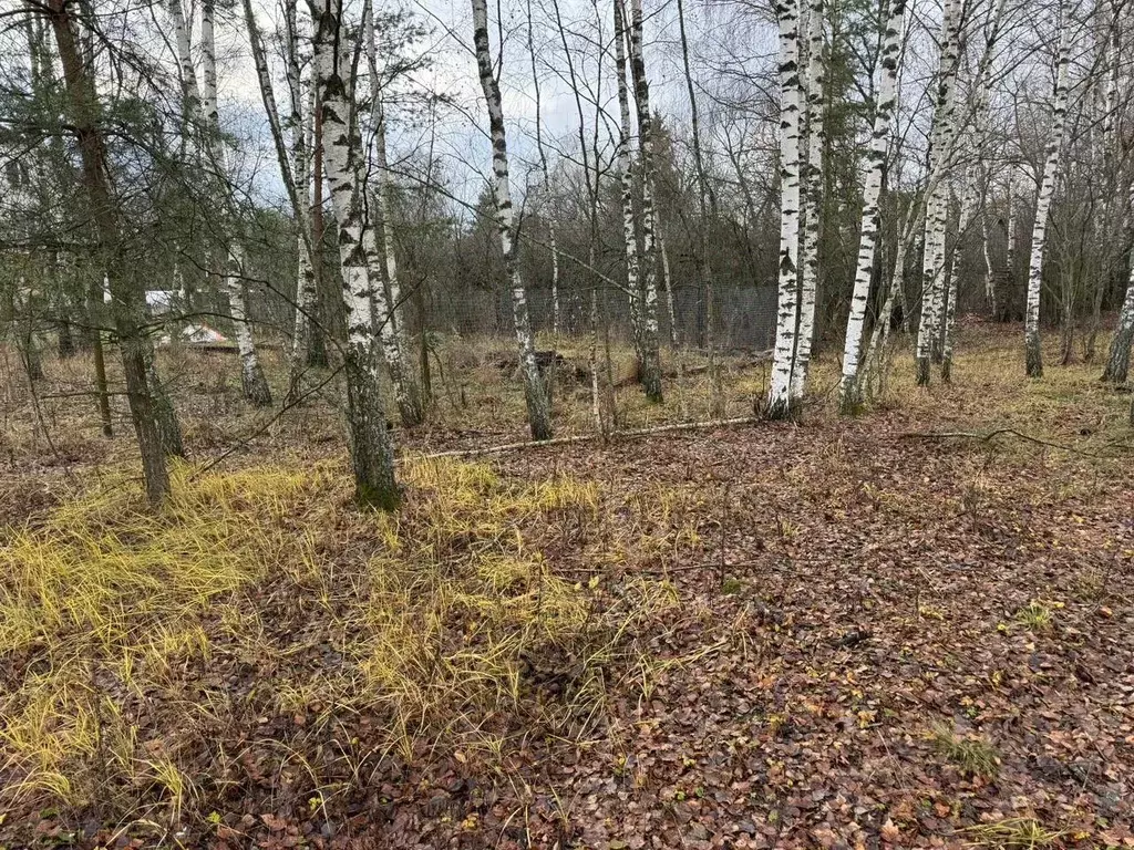 Участок в Московская область, Богородский городской округ, д. Боково  ... - Фото 1