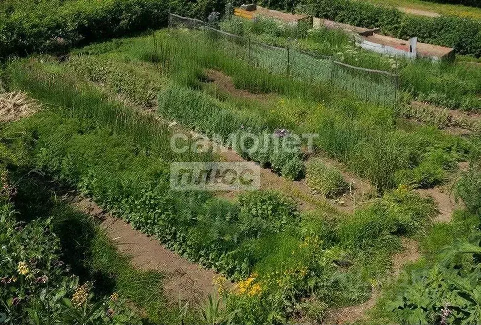 Участок в Марий Эл, Волжский муниципальный округ, Приволжский пгт ул. ... - Фото 1