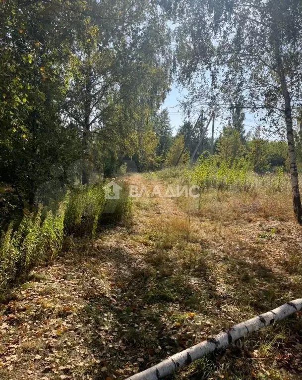 Участок 9 сот. (СНТ, ДНП) - Фото 0
