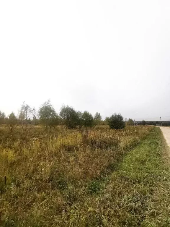 Участок в Тульская область, Веневский муниципальный округ, с. Марыгино ... - Фото 2