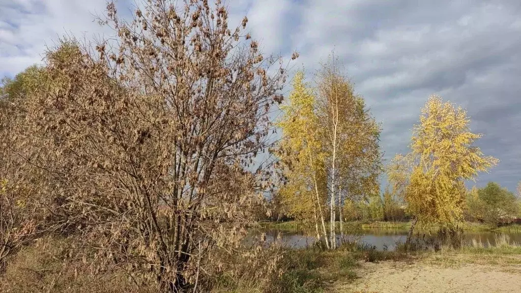 Участок в Московская область, Раменский муниципальный округ, д. ... - Фото 1