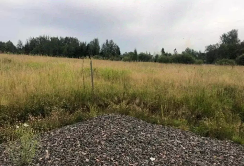 Участок в Ленинградская область, Всеволожский район, Лесколовское ... - Фото 1