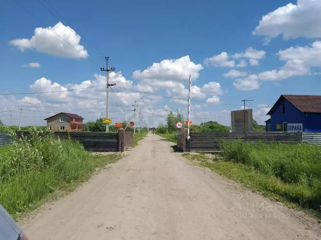 Участок в Новосибирская область, Колыванский район, Север ТСН 107 ... - Фото 1