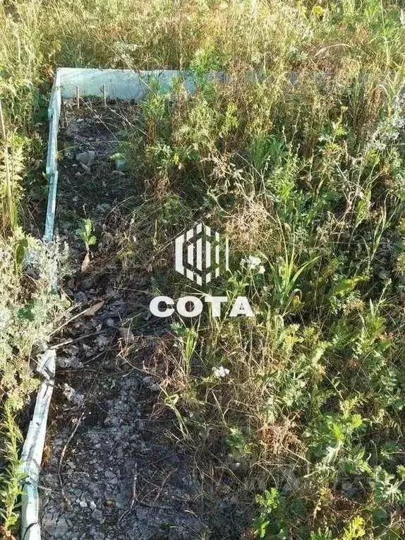 Участок в Воронежская область, Рамонский район, Горожанское с/пос, д. ... - Фото 2