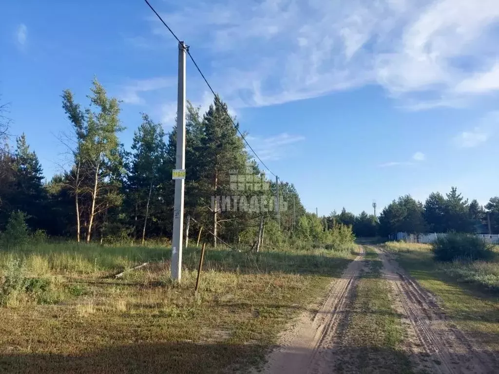 Участок в Воронежская область, Рамонский район, с. Новоживотинное  ... - Фото 1
