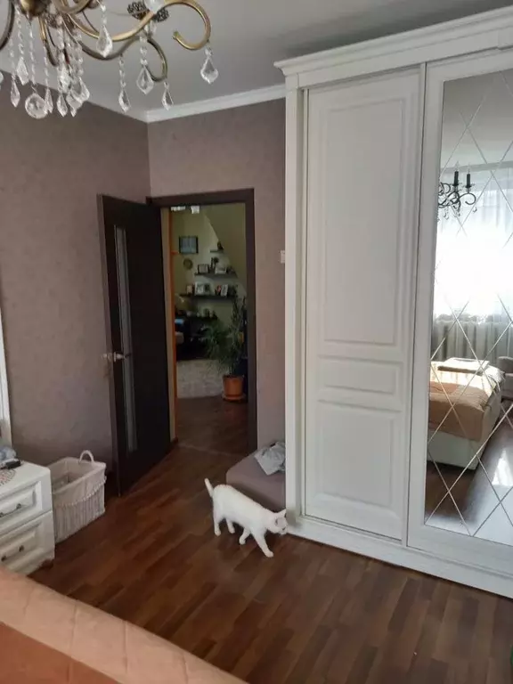 Продается дом в с. Немчиновка - Фото 2