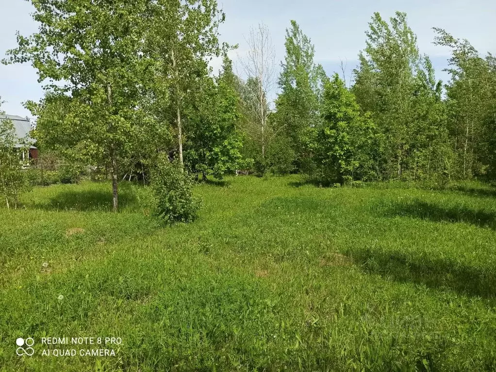 Участок в Новгородская область, Новгородский район, Панковское ... - Фото 0