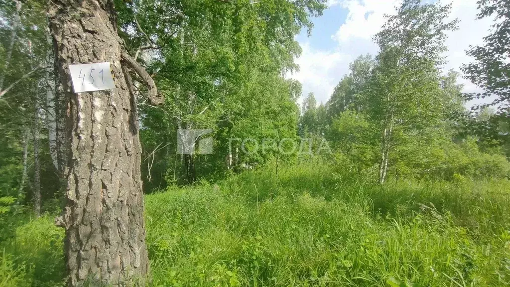 Участок в Новосибирская область, Новосибирский район, Барышевский ... - Фото 2