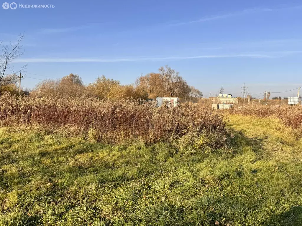 Участок в Калининградская область, Гурьевский муниципальный округ, ... - Фото 1