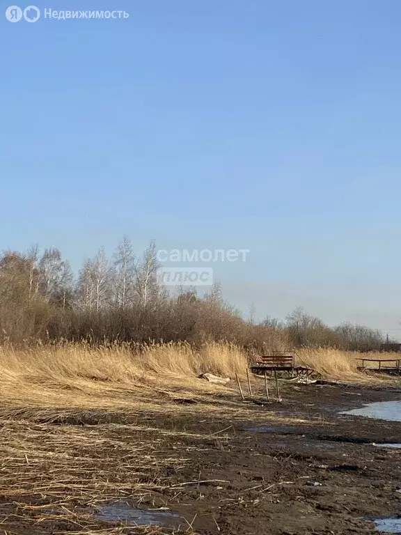 Участок в Искитим, садовое товарищество Зелёный Бор (5.34 м) - Фото 2