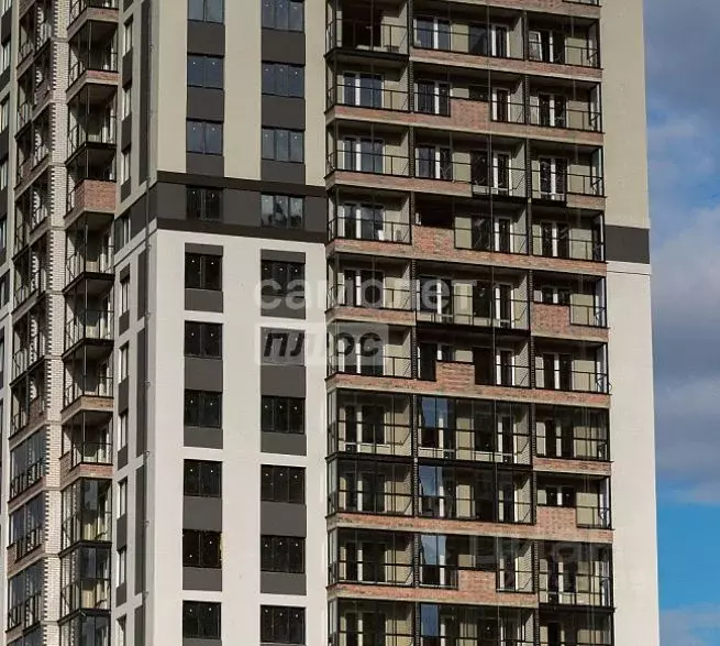 Студия Воронежская область, Воронеж ул. Покровская, 19 (23.31 м) - Фото 2