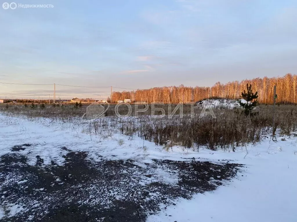 Участок в Свердловская область, Тугулымский муниципальный округ, село ... - Фото 1