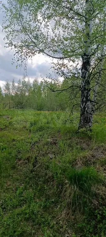 Участок 7 сот. (ИЖС) - Фото 1